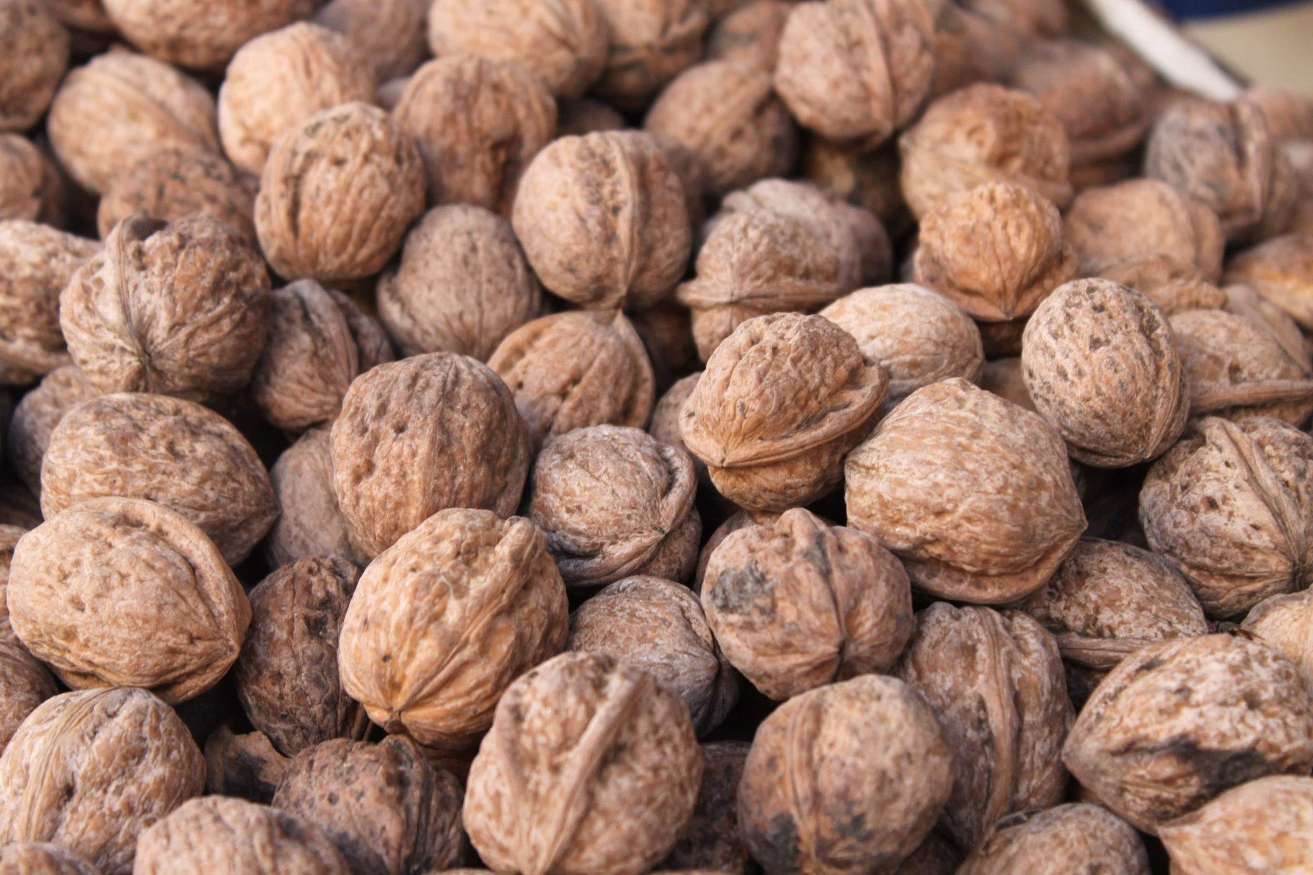 Las nueces son frutos saludables que puedes comer en invierno